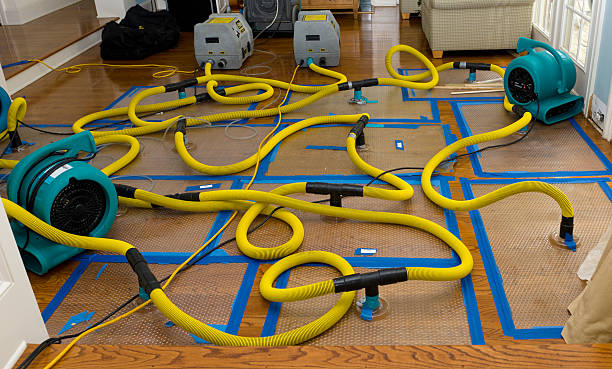 Professional Basement Flood Cleanup technician working in Pacifica, CA